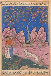 Sida från Tales of a Papegoja Tuti-nama: Trettionde natten: Kvinnan som samtalar..., ca. 1560.