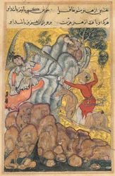 Sida från Tales of a Parrot Tuti-nama: Trettiofjärde natten: Den tredje friaren..., ca. 1560.