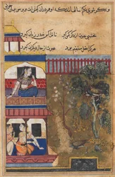Sida från Tales of a Parrot Tuti-nama: Trettionionde natten: Drottningen av Rum..., ca. 1560.
