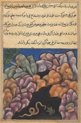 Sida från Tales of a Parrot Tuti-nama: Tjugosjätte natten: Ormen kommer in..., ca. 1560.