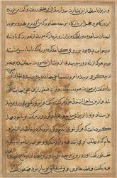 Sida från Tales of a Parrot Tuti-nama: textsida, ca. 1560.