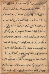 Sida från Tales of a Parrot Tuti-nama: textsida, ca. 1560.