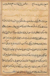 Sida från Tales of a Parrot Tuti-nama: textsida, ca. 1560.