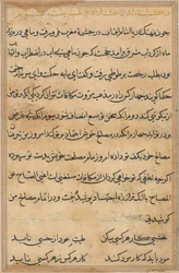 Sida från Tales of a Parrot Tuti-nama: textsida, ca. 1560.