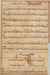 Sida från Tales of a Parrot Tuti-nama: textsida, ca. 1560.
