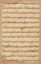 Sida från Tales of a Parrot Tuti-nama: textsida, ca. 1560.
