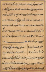 Sida från Tales of a Parrot Tuti-nama: textsida, ca. 1560.