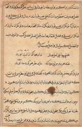 Sida från Tales of a Parrot Tuti-nama: textsida, ca. 1560.