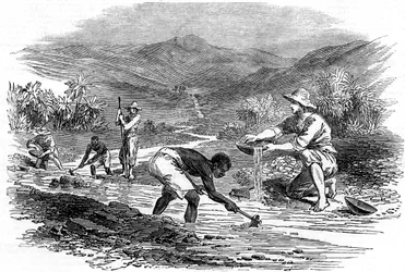 Panorerar efter guld under Kaliforniens guldrush 1849