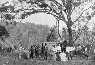 Paraguayansk tesamling, Paraguay, 1911