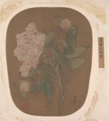 Pionblomma och löv.