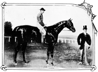 Persimmon, 1911