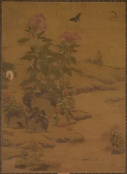 Växter och insekter, 1368-1644.