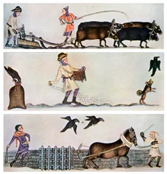 Plöjning, sådd och harvning, c1300-1340, c1900-1920