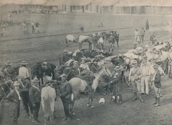 Rörmokarhäst, c1900.