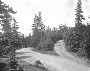 Point Pleasant Park, Halifax, Nova Scotia, Kanada, c1900.
