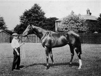 Polarstjärnan, 1911