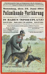 Polishunddemonstration i Baden, 1914.