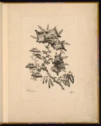 Skriv ut (Frankrike)