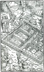 Att producera salt genom att förånga havsvatten i saltkärl, 1556