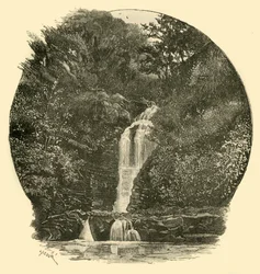 Pyrddin Falls, Vale of Neath, 1898.