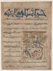 Egenskaper av Ringdoves recto, Om fördelarna med vaktar verso..., c. 1300.