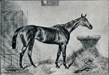Drottning Bertha, 1800-talet, 1911