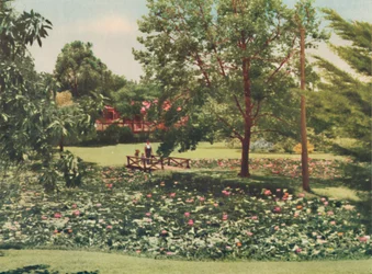 Queens Gardens, c1947.