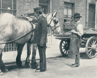 RSPCA-inspektör undersöker en häst, c1903 1903