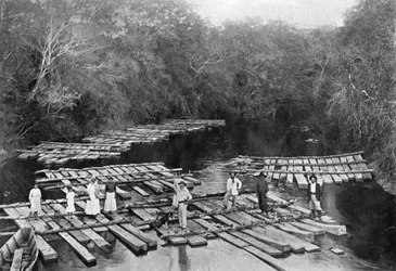 Flottar på floden Tebicuary-mi, Paraguay, 1911