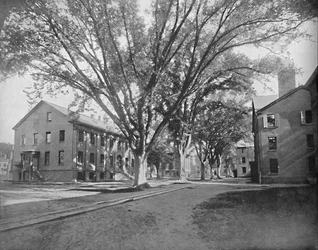 Reading Hall and Treasury, Yale College, New Haven, Conn., c1897.