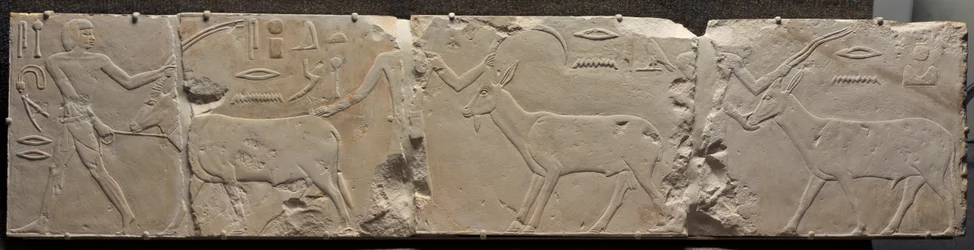 Relief av män som tar med ökendjur, ca. 2311-2281 f.Kr.
