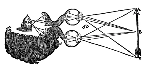 Rene Descartes idé om syn, som visar funktionen av ögat, synnerven och hjärnan, 1692