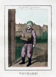Rabarber, Russell Square, London, 1805
