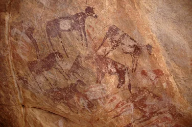 Bergkonst, förhistoria: Målning av en grupp nötkreatur och karaktärer i ett utsmyckat skydd, i Uweinat-massivet, Sudan (Karkur-Talh eller Karkur Talh). Period från 8000 till 3000 år f.Kr. Fotografi