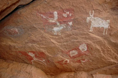 Hällkonst, förhistoria: Stenmålning av en grupp nötkreatur och får i ett utsmyckat skydd, i Uweinat-massivet, Sudan (Karkur-Talh eller Karkur Talh). Period från 8000 till 3000 år f.Kr. Fotografi