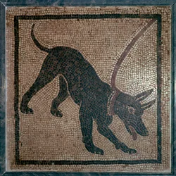 Romersk mosaik av en hund, 1:a århundradet