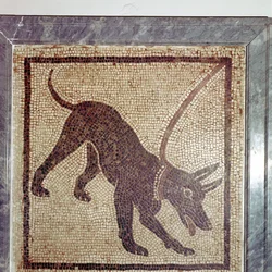 Romersk mosaik av hund, Cave Canem, Pompeji, Italien
