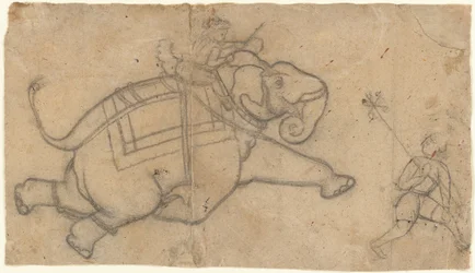 Running Elephant recto, övningsark med Elephant Sketches verso, mitten av 1700-talet.