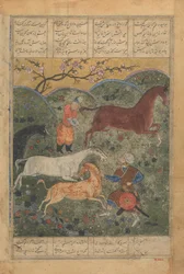 Rustam fångar hästen Rakhsh, Folio från en Shahnama Kings Book..., sent 1400-tal.