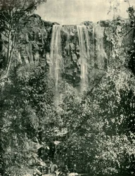 Sailors Creek Falls, Daylesford, 1901.