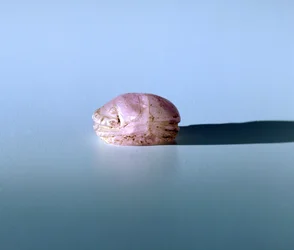 Scarab i ametist, fornegyptisk, 1200-talet f.Kr