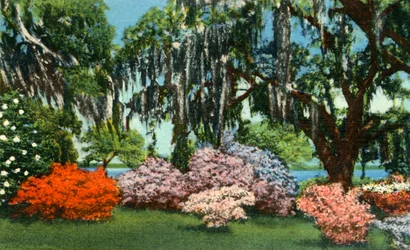 Scen i Belle Isle Gardens, nära Georgetown, S.C., 1942.