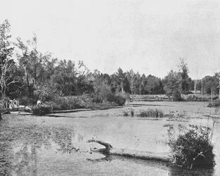 Scen i Mississippi, USA, c1900.