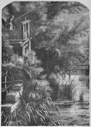 Scen på en bäck som töms i den lilla Juniata, 1883