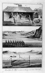Havsfiske, sill och sardiner, 1751-1777