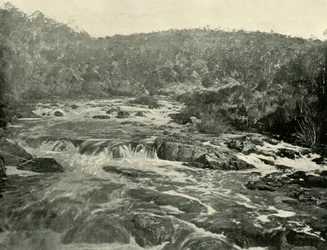 Andra bassängen, South Esk River, 1901.