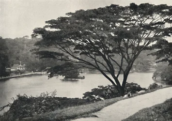 Lake, Temple of the Sacred Tooth Reed och bibliotek i Kandy, sett österut från Victoria Drive, 192