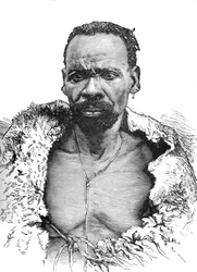 Trä, c1880