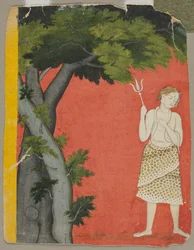 Shiva under träd